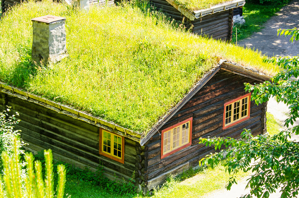 Green Roof Installation: Eco-Friendly Roofing